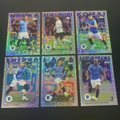 Item thumbnail for item e040b5d9-82af-4ea6-b9d3-2eb657ccb222