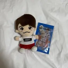 なにわ男子 西畑大吾 ちびぬい