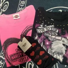 Item thumbnail for item 0a3dc5a4-3dad-4656-ae08-8ae301ef4609