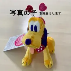 プルート ぬいぐるみバッジ ミニパル ミニーのファンダーランド パルパルーザ