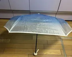 Item thumbnail for item 8df90e2e-5079-404f-9af2-ecc1d13bea21