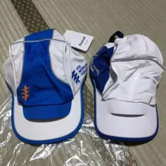 Item thumbnail for item 1f737512-1ca9-4cd7-8f48-3d6a5fb41054