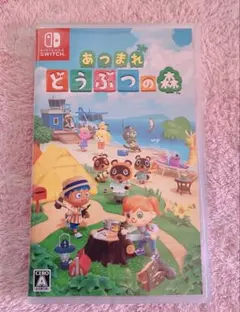 Nintendo Switch　あつまれどうぶつの森