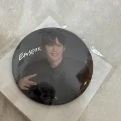 ウンソク ラントイ ランダムトイ RIIZE 缶バッジ