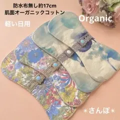 Item thumbnail for item 339a4529-2c2d-4e2a-918f-29bfd48b1cda