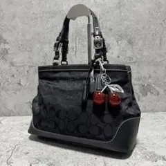 Coach Y2K Signature Leather Tote Bag