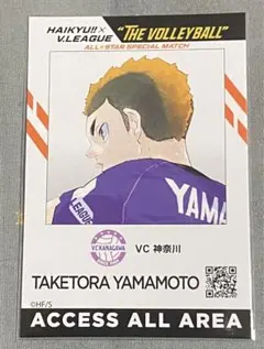 ハイキュー‼︎ Vリーグ　コラボ　IDカード　山本猛虎
