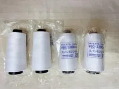 Item thumbnail for item 0d833c69-6e51-48e1-8b45-12a9ecc1ff43