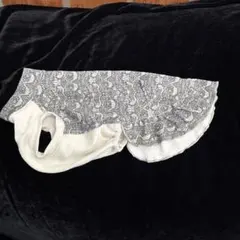 Item thumbnail for item f65b5d30-b2e6-4bd3-8024-c4bd61513b70