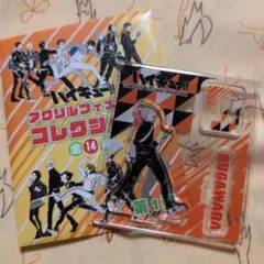 2026年最新】ハイキュー アクリルフィギュアコレクション 第1弾の人気