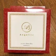 ふんわりルームブラ ナイトブラ アンジェリール