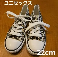 Item thumbnail for item 6feb4c1c-4a9c-4c1a-a525-2c1d6824be4e