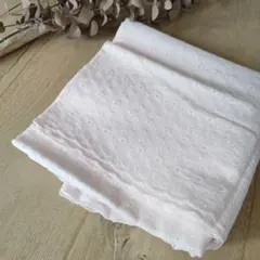 【在庫ラスト 再販なし】ダブルガーゼ ＊コットン刺繍レース生地 ＊ スカラップ