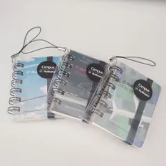 Item thumbnail for item 50efd05a-3b85-4198-83fa-865d586395a5