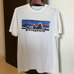 【美品】パタゴニア Tシャツ メンズ S
