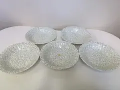 Teien FINE CHINA 花柄 5枚セット パスタ皿 レトロ 食器