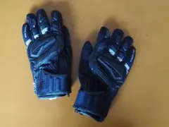 Item thumbnail for item e9589133-258c-40eb-b0f0-80cd5f4c2770