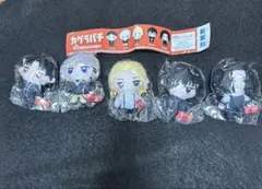 カグラバチ　かぷっこふれんず　コンプリート