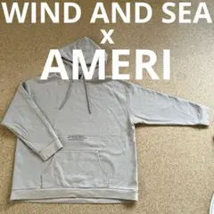 値下げAMERI WIND AND SEA SANDWICH HOODIEのサムネイル