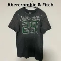 Abercrombie & Fitch グレー Tシャツ Sサイズ