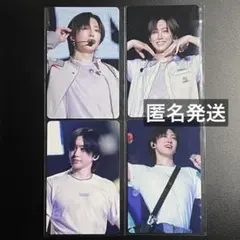 &TEAM FUMA フウマ セカナン