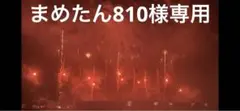 【まめたん810様専用】ハンドメイド 7/4.15