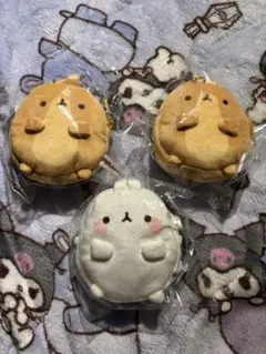 MOLANG ぺたこっとポーチ 3個セット