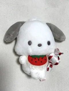 ポチャッコ　ぬいぐるみキーホルダー