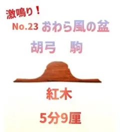 2025年最新】胡弓の人気アイテム - メルカリ