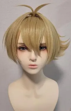 卯月コウ ウィッグ コスプレ にじさんじ - メルカリ