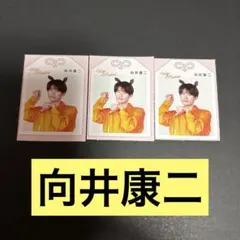 向井康二 推しお守り 3枚セット