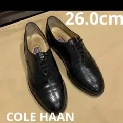 Item thumbnail for item 9452dc45-7e50-44ce-b669-09257cbb5de5