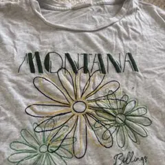 cpcm Ｔシャツ　レディース　フリーサイズのサムネイル