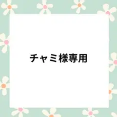 専用【訳アリ】ブルー　 A7サイズ　透明バインダー リフィル10枚付　シール帳