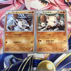 ポケモンカード　マンキー　オコリザル　XY11