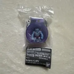 ワンピの実ミクロ　ブリスターチャーム　ルフィ　ガチャ　シークレット