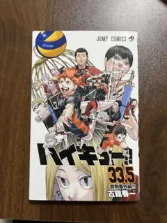 【非売品】ハイキュー!! 33.5 ゴミ捨て場の決戦 入場者特典