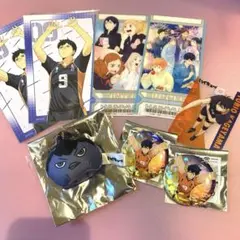 ハイキュー 影山飛雄 動物マスコット 缶バッジ