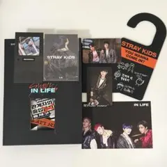 straykids スキズ IN生 限定盤 開封済 スンミン アイエン