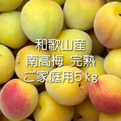 【気まぐれおやつ ぼちぼち様専用】完熟南高梅 家庭用 5kg
