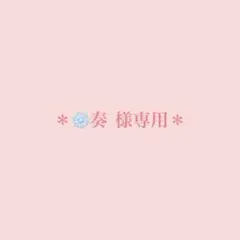 ＊❄️奏 様　専用＊