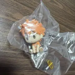 ハイキュー!! 【日向翔陽】