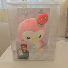 2025年最新】川西拓実 ぽぽの人気アイテム - メルカリ