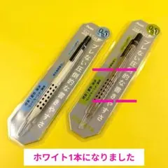 Item thumbnail for item 8f374471-1b09-4b92-a728-12b31953431d