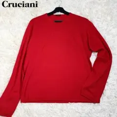 人気！ 美品✨ クルチアーニ コットンVネックニット 48号 L 大きめサイズ