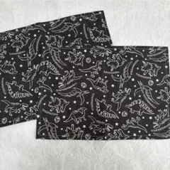 恐竜　ランチョンマット　ランチマット　25×35 保育園　幼稚園