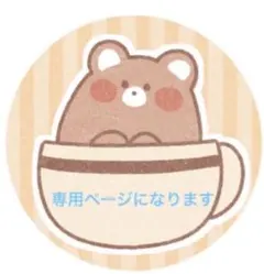 専用ページになります⭐︎