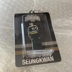 SEVENTEEN HOME アクキー スングァン