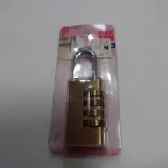 Item thumbnail for item c5327e36-0c15-4e74-9eb7-5be31ef85b18