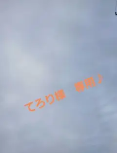 てろり様　10.12.14